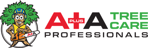 A + A Tree Care Professionals