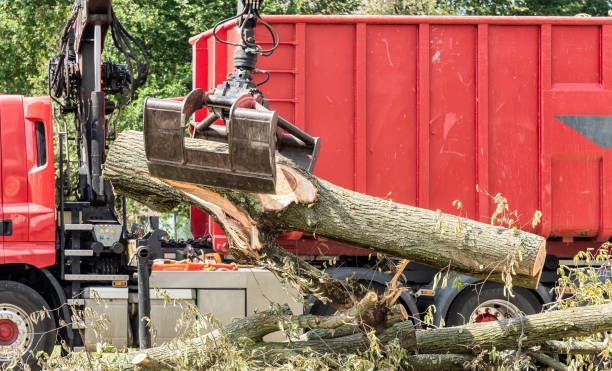 Tree clearing with heavy machinery lifting a large fallen trunk into a red container truck.