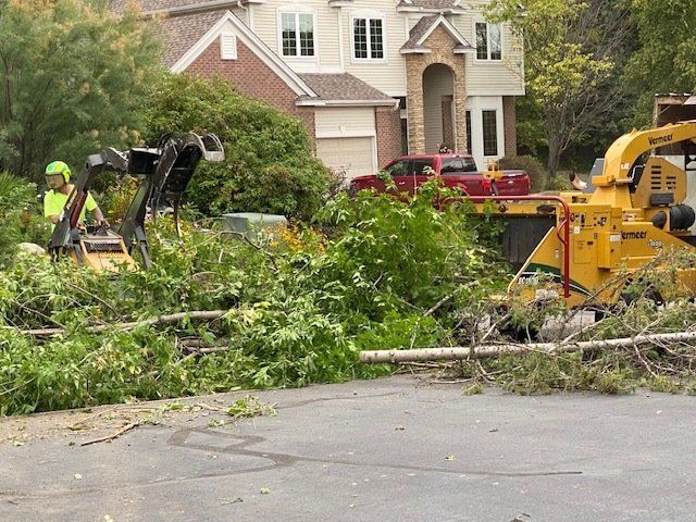 Land Clearing Services — Rogers, MN —A + A Tree Care Professionals