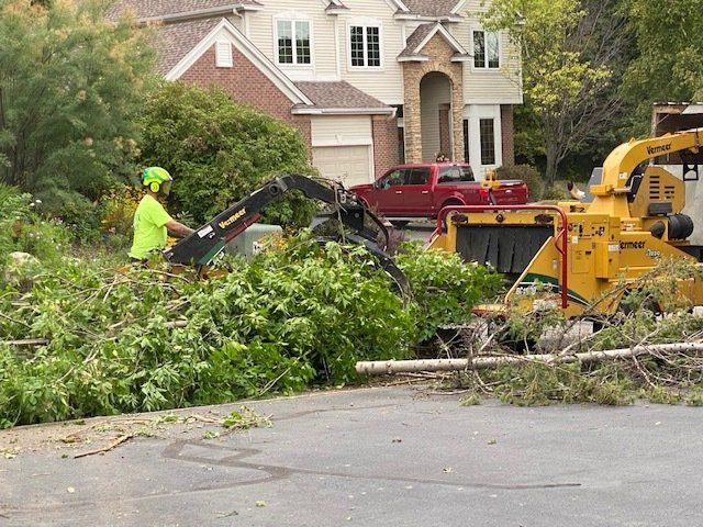 Wood Removal Services — Rogers, MN — A + A Tree Care Professionals