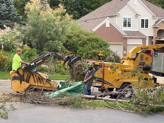 Tree Removal in Champlin MN - A + A Tree Care Professionals