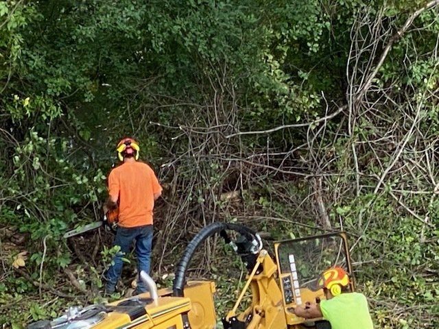 Land Clearing — Rogers, MN — A + A Tree Care Professionals