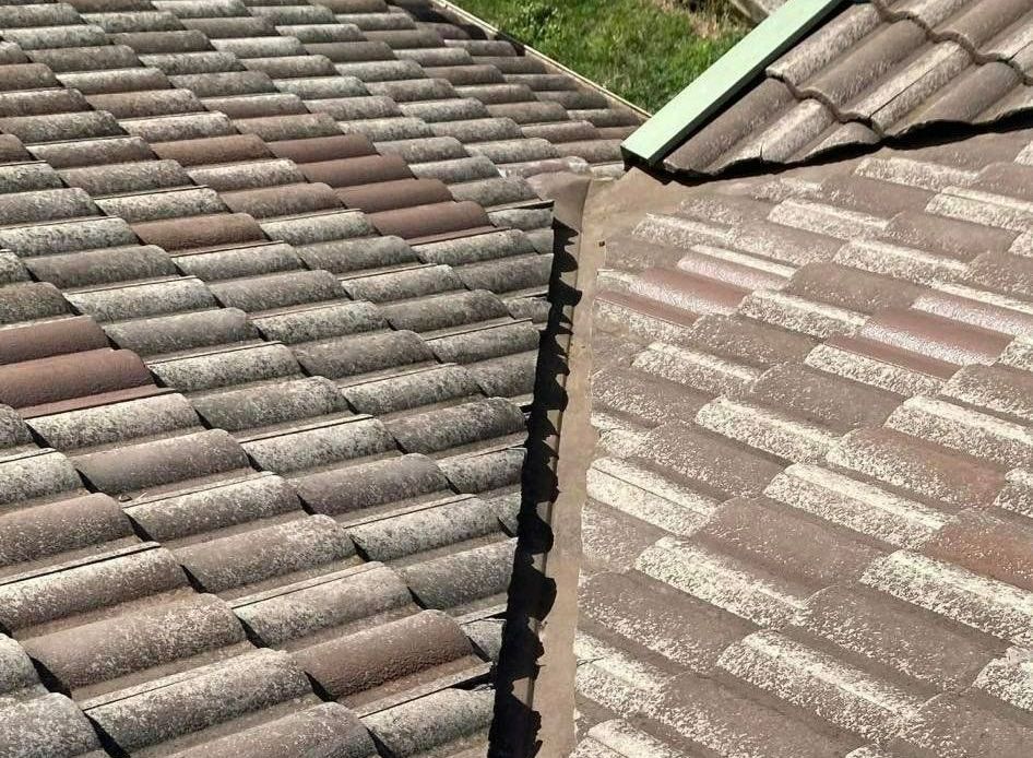 A Close Up of a Tiled Roof With a Green Trim — RJT Roofing In Bonner, ACT