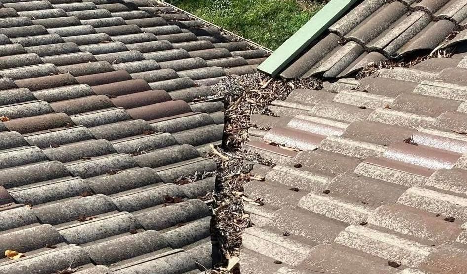 A Close Up of a Roof With a Gutter on It — RJT Roofing In Bonner, ACT