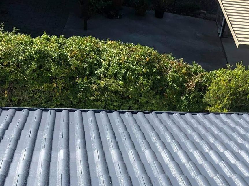 A Roof With a Lot of Trees on It — RJT Roofing In Bonner, ACT