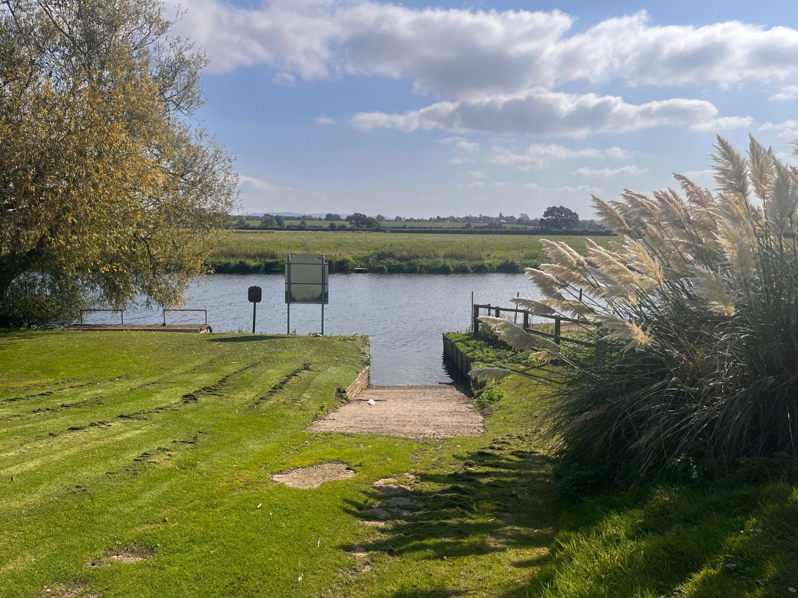 A dock is leading to a body of water surrounded by grass and trees.