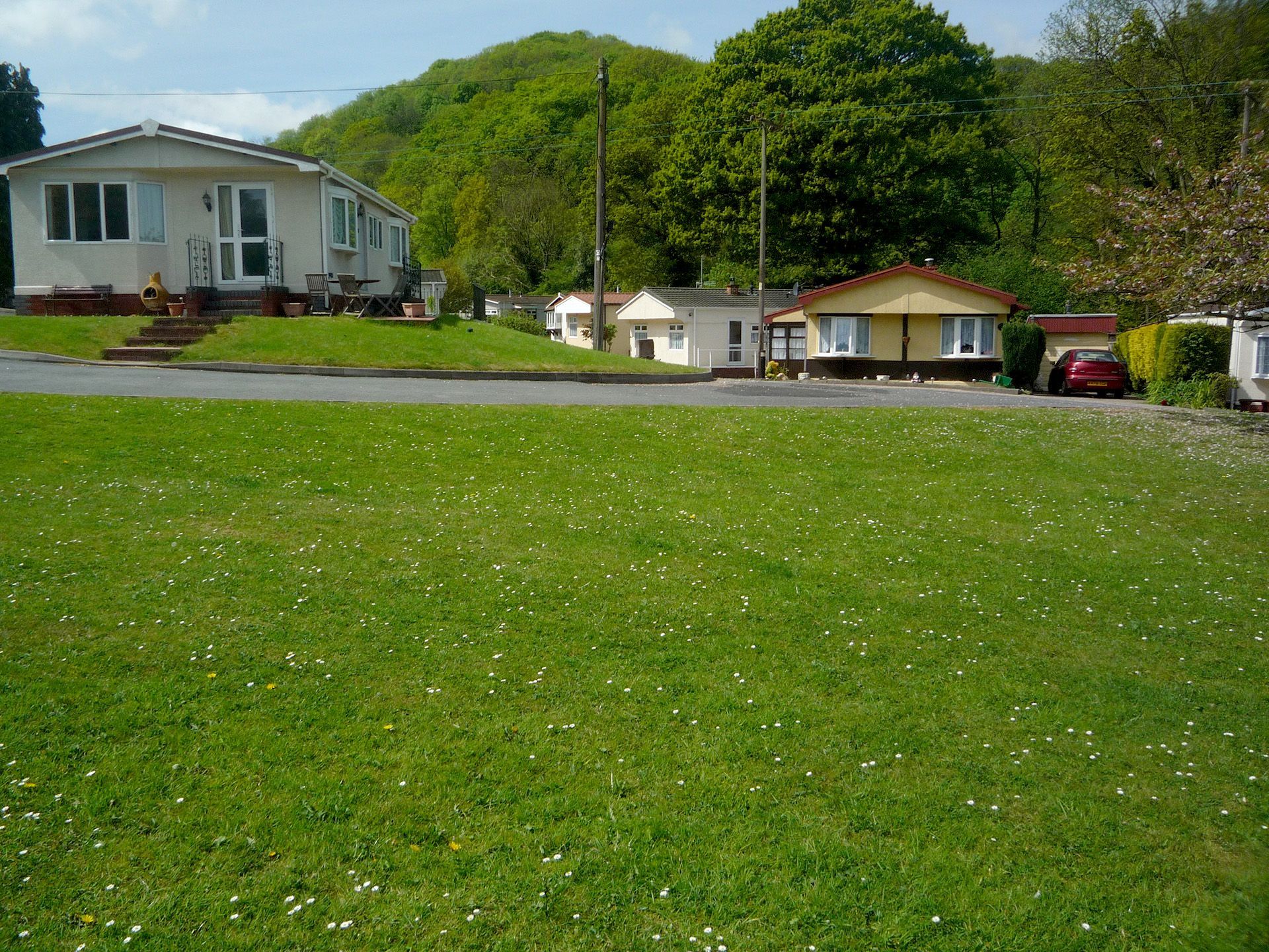 A lush green field with houses in the background