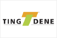 The logo for ting dene is a green and orange triangle with a t on it.