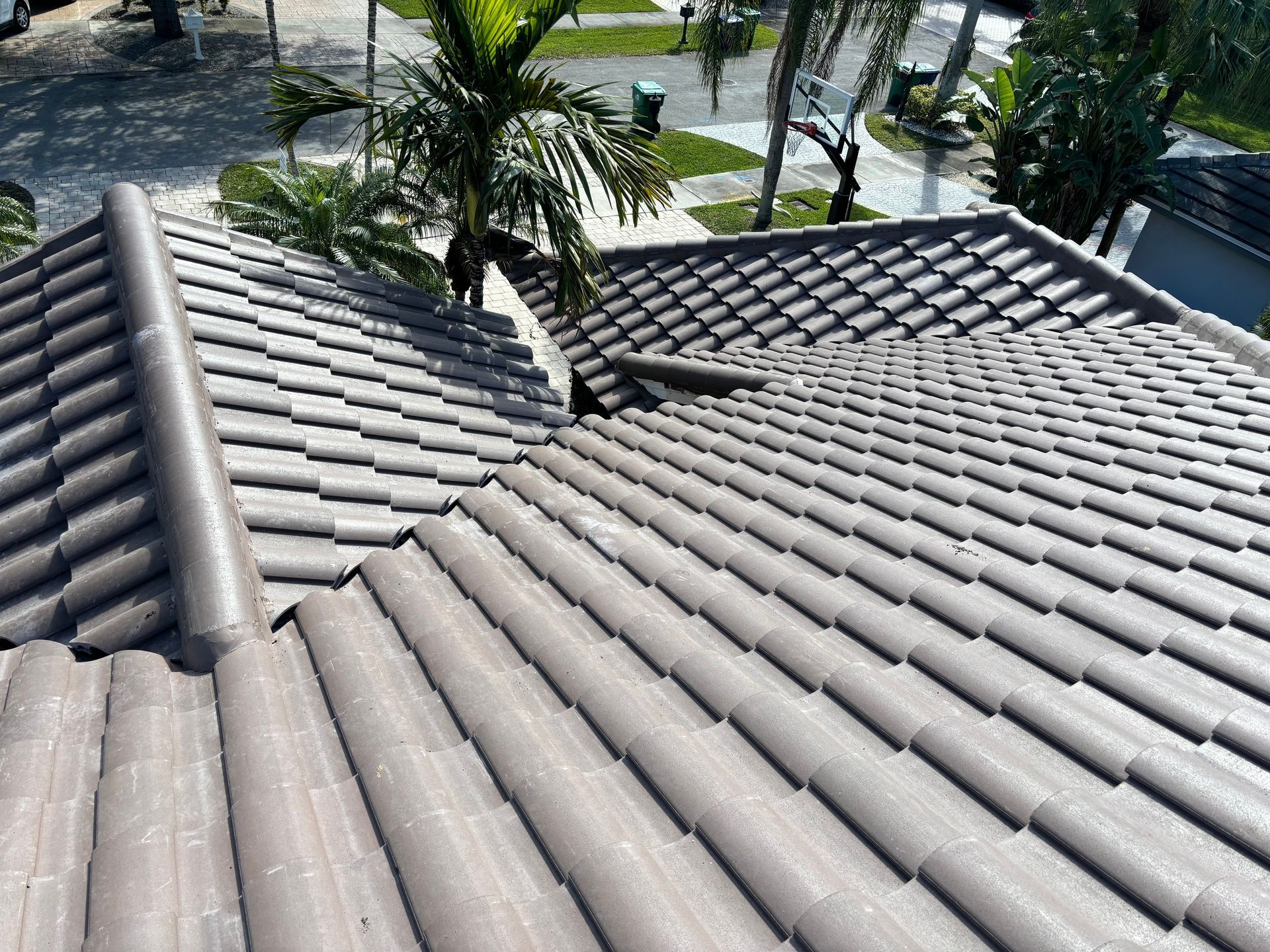 Close-up of a light brown tile roof with a palm tree and neighborhood in the background.