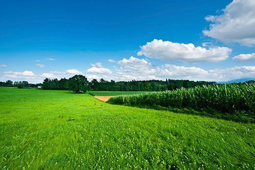 Grass - Bulk Water Service in Washington, PA