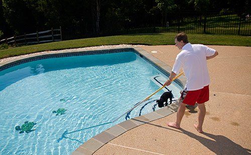 Pool Cleaning - Pool Service in Washington, PA