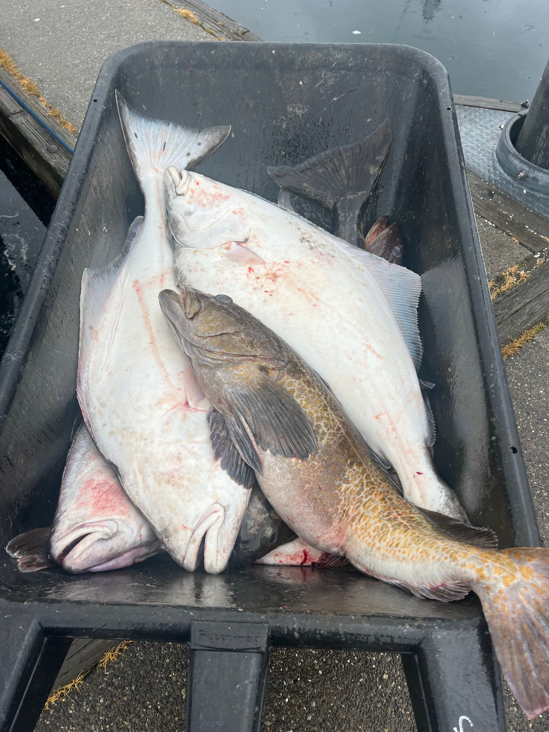 John Thomas Adventures Fishing Boat Charter Port Angeles Sekiu, WA