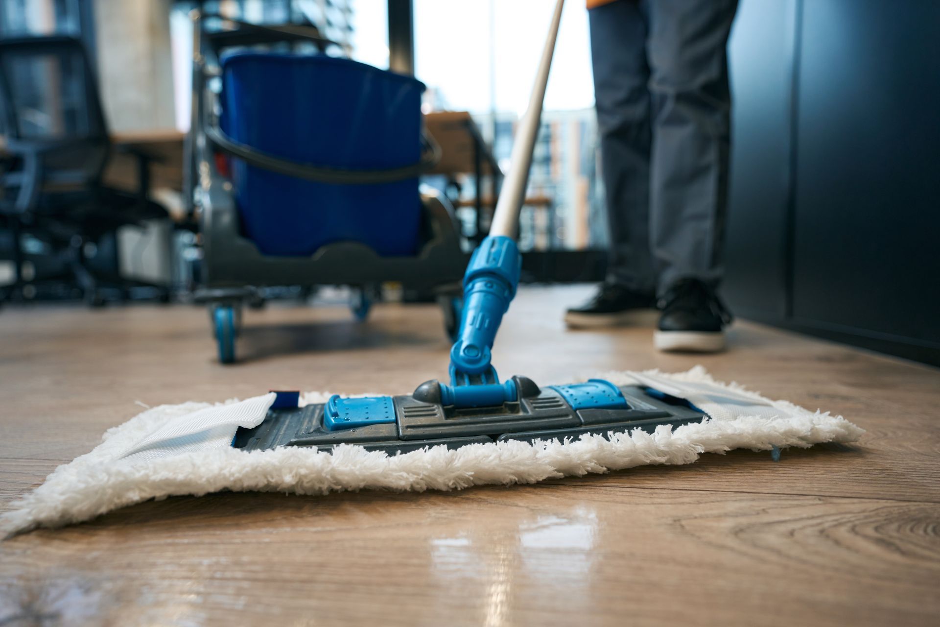 Mop cleaning a hardwood floor in an office, with a blue cleaning bucket in the background Mop cleaning a hardwood floor in an office, with a blue cleaning bucket in the background