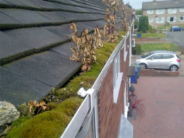 Before Gutter Cleaning Service