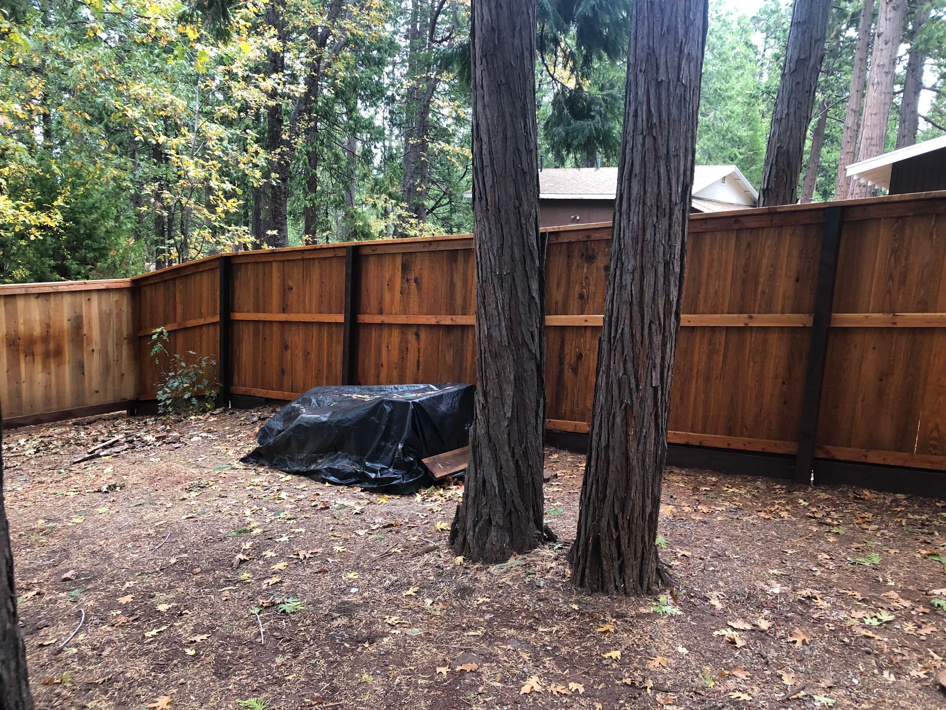 A wooden fence encloses a backyard area with trees and scattered fall leaves, featuring a covered item on the ground.