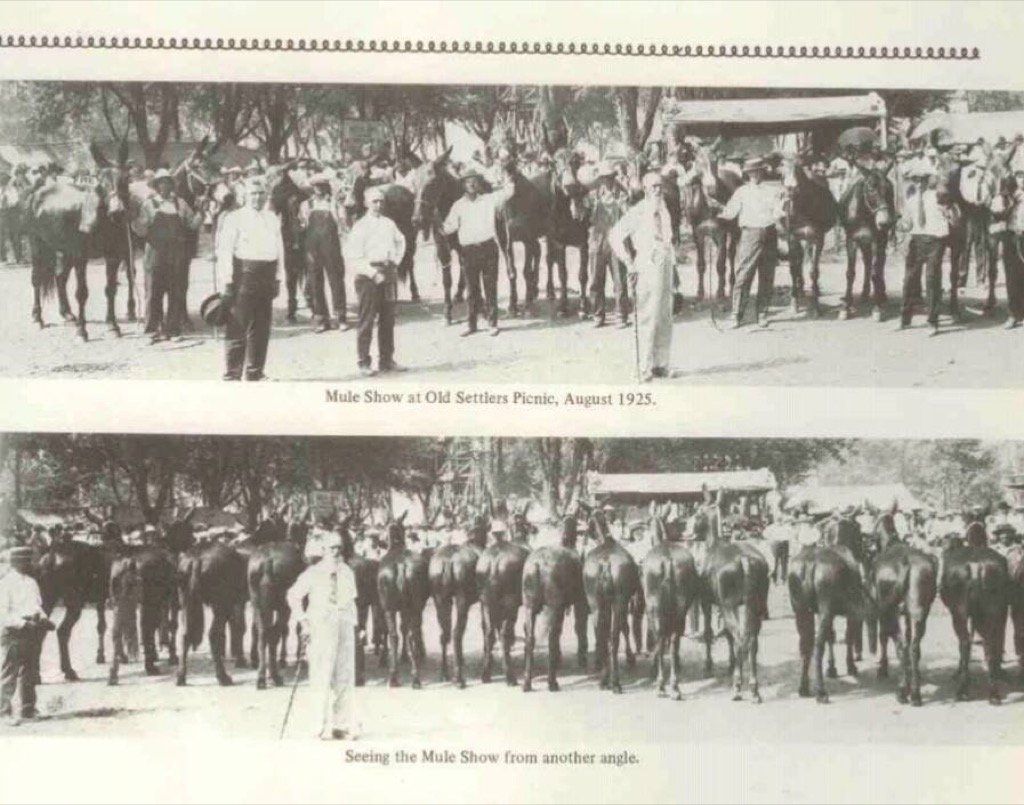Sheldon Mule show 1925-43