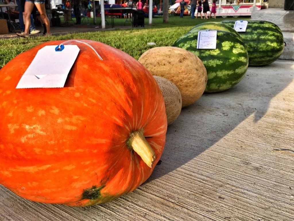 Sheldon Picnic produce contest-71