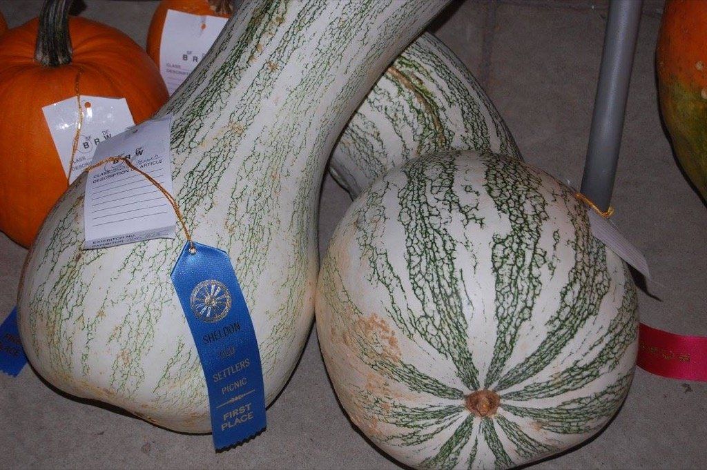 Sheldon Produce Contest 3-73