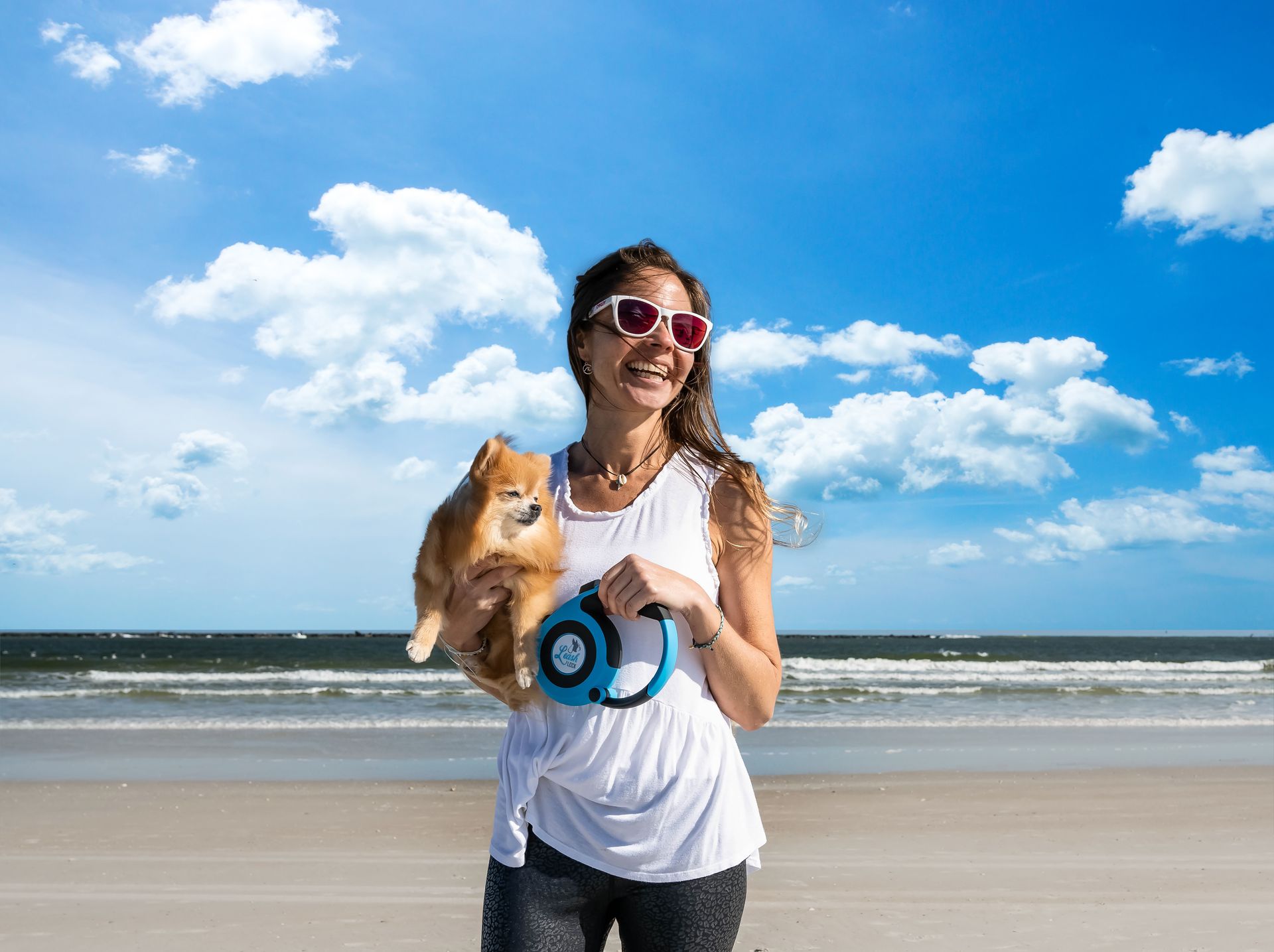 Netwolf branding materials: logo, stationery, business cards, website on laptop, all in grayscale.