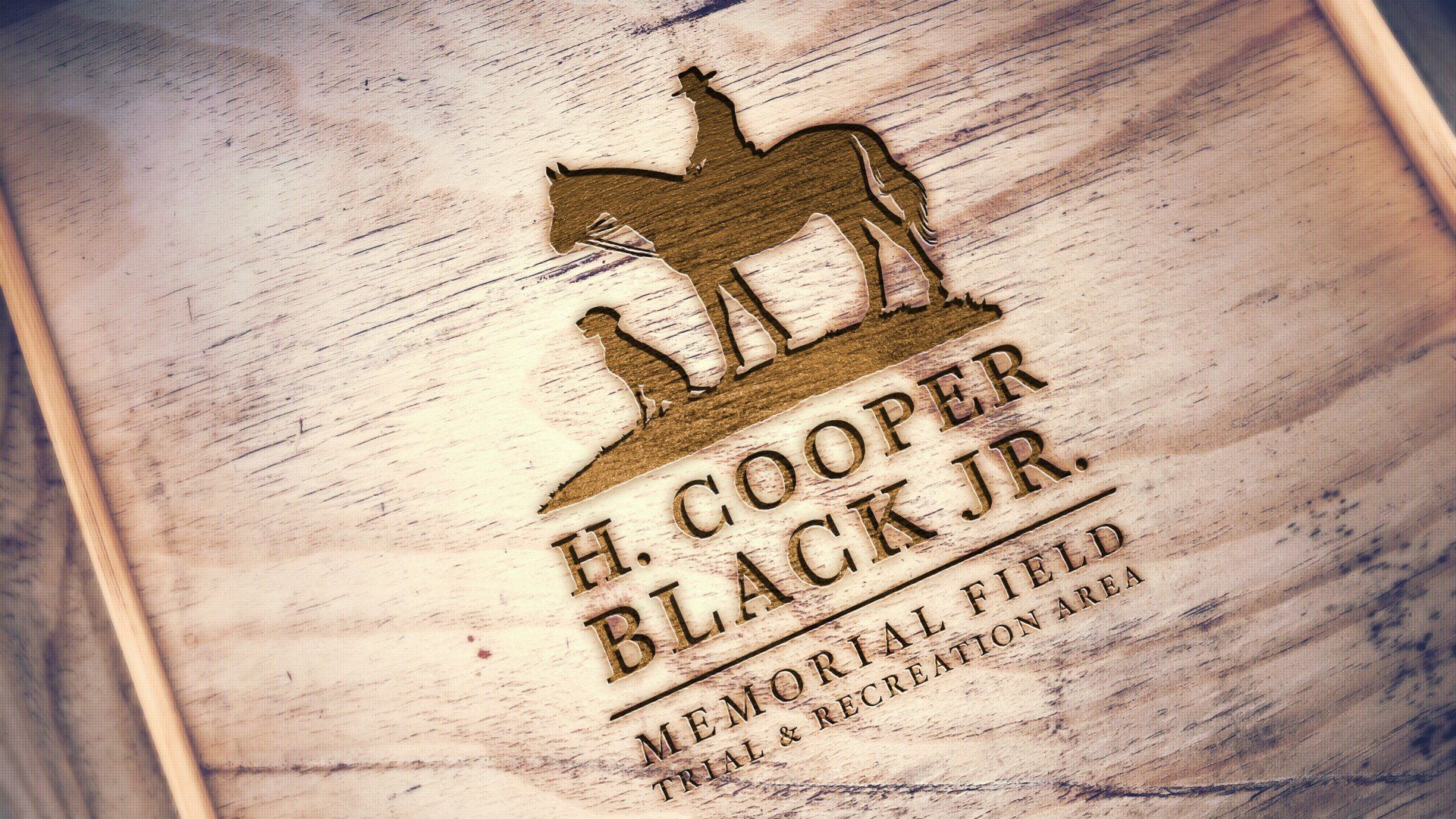 Branding mock-up with business card, website, letterhead, tablet, envelope, and smartphone. Green and white color scheme.