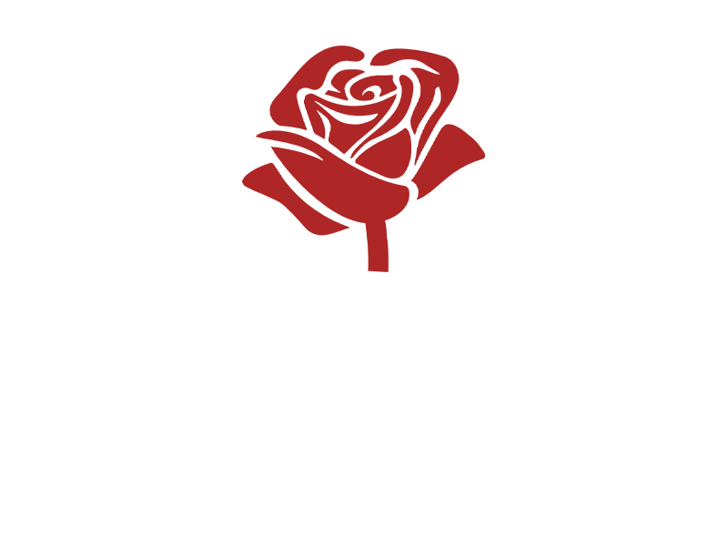 A red rose with a stem on a white background.