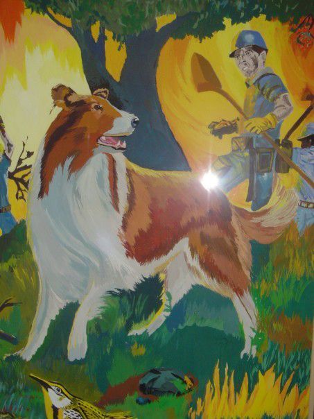 my Lassie painting