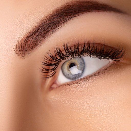 Ombre Brows – Flint, MI – Centre of Lily Med Spa