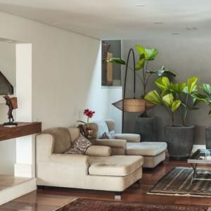 Living Room filled with Beautiful Potted Plants | Find Realtor in Texarkana, TX with PH Realty