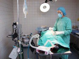 1242013-doctor-prepping-surgery