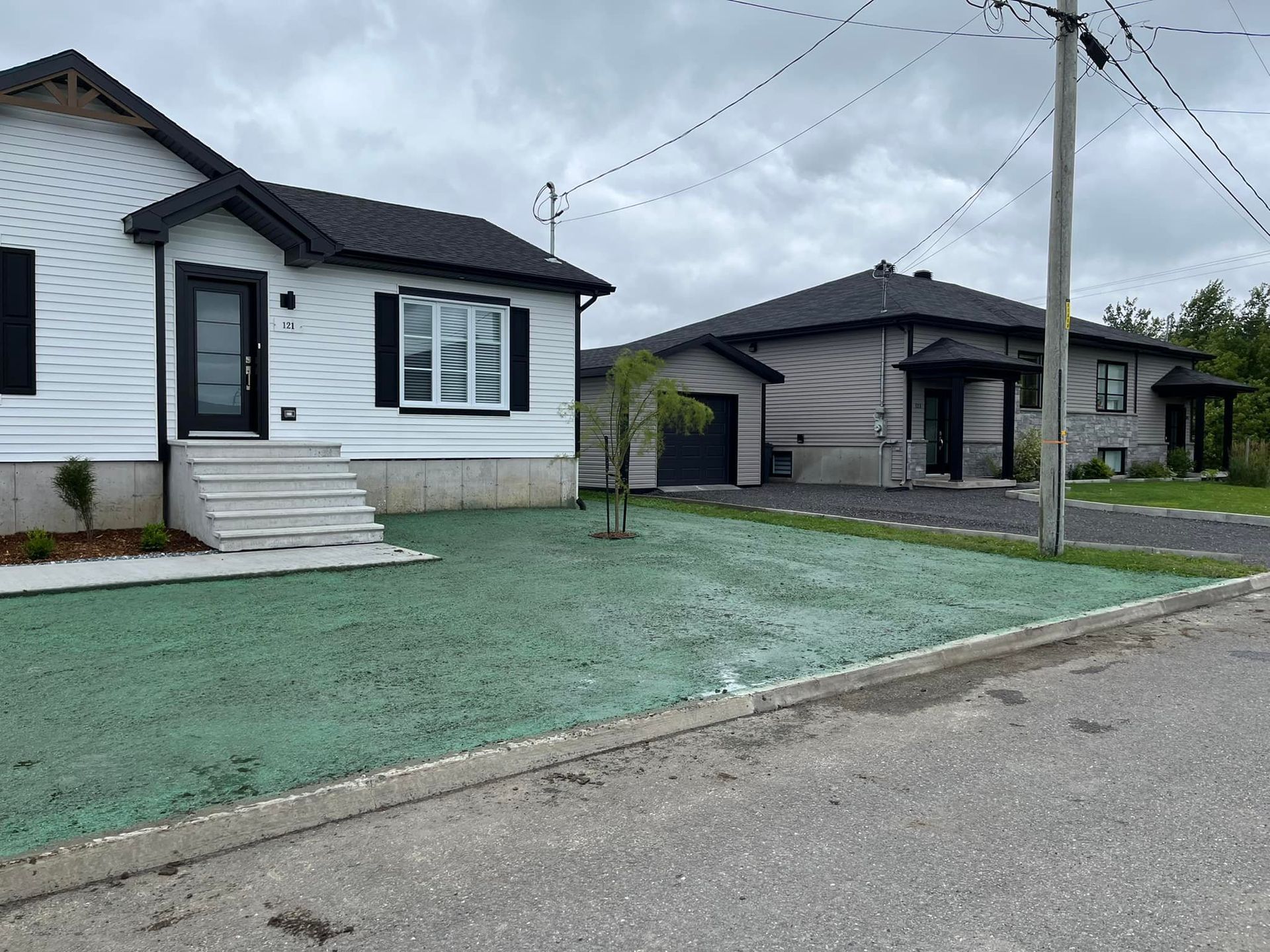Une rangée de maisons avec de l'herbe verte devant elles.