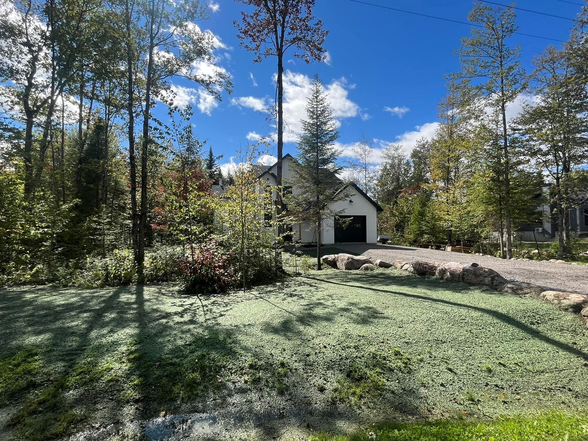 Une maison blanche est entourée d'arbres et d'herbe par une journée ensoleillée.