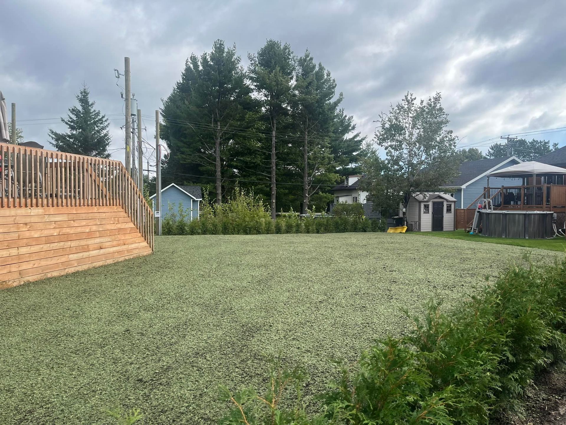 Une grande pelouse avec une clôture en bois et une maison en arrière-plan.