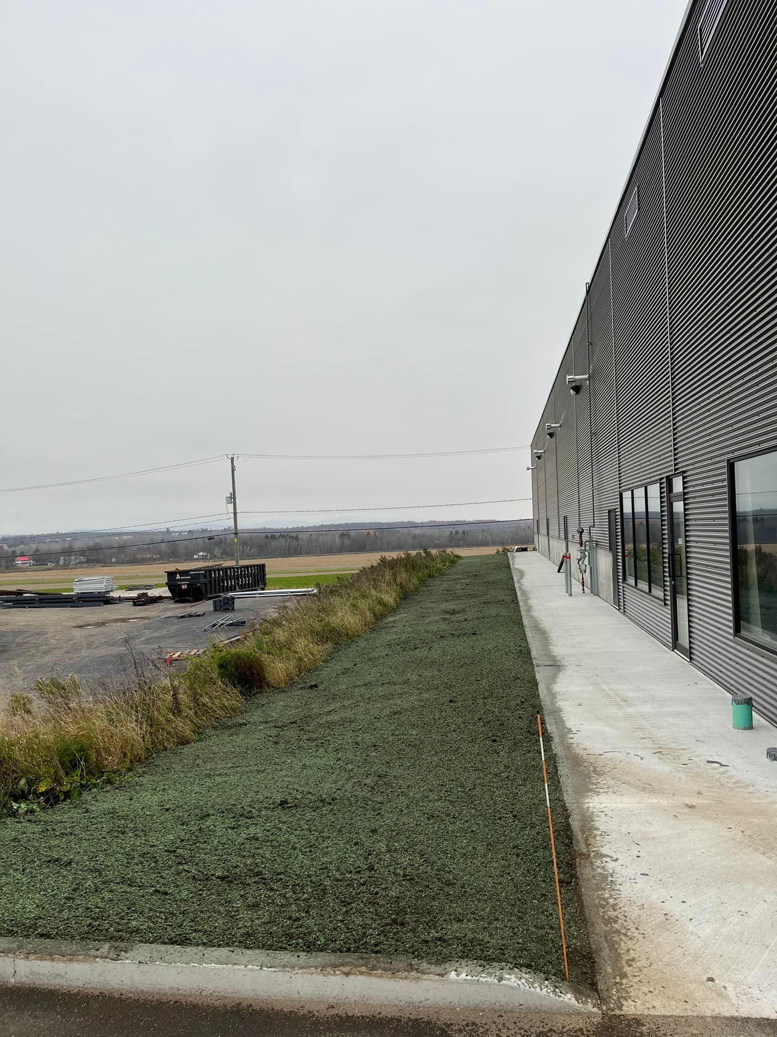 Un grand bâtiment avec un imprimé zèbre sur le côté.