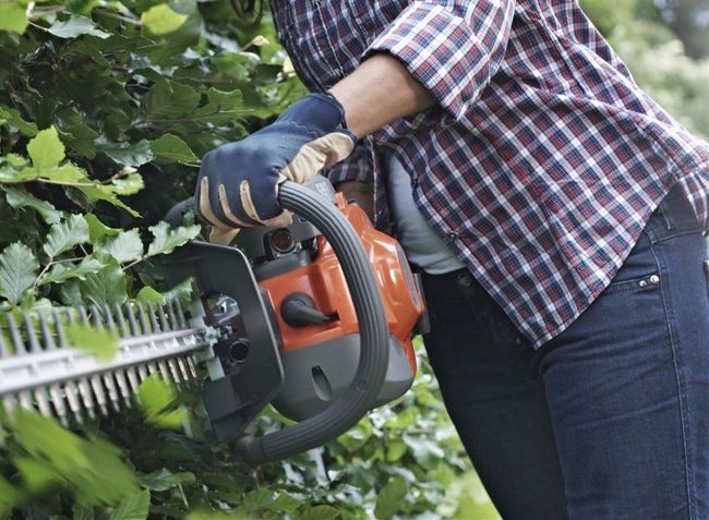 Man Using a Hedge Trimmer — Launceston, TAS — Launceston Mower and Chainsaw Centre