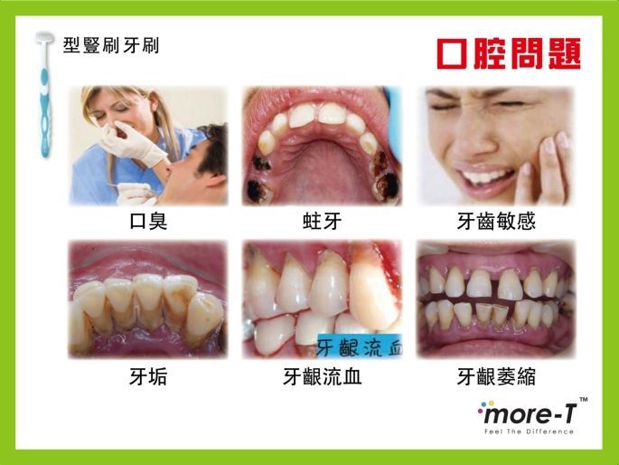 more-t.com