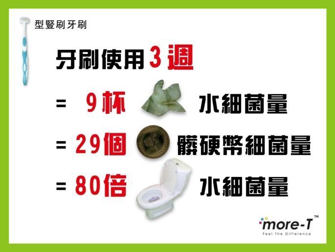 more-t.com