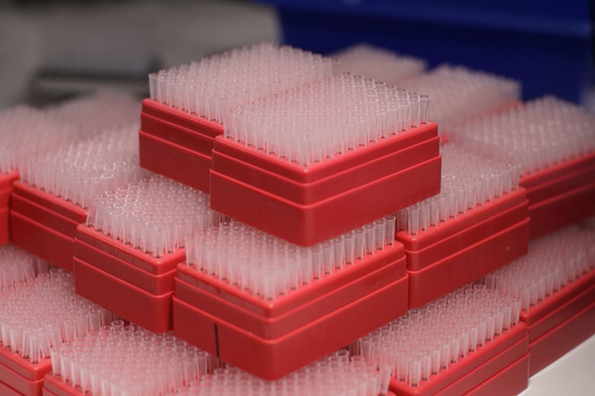 A pile of pipettes