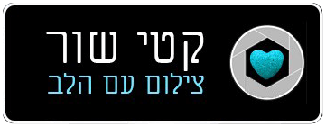 קטי שור