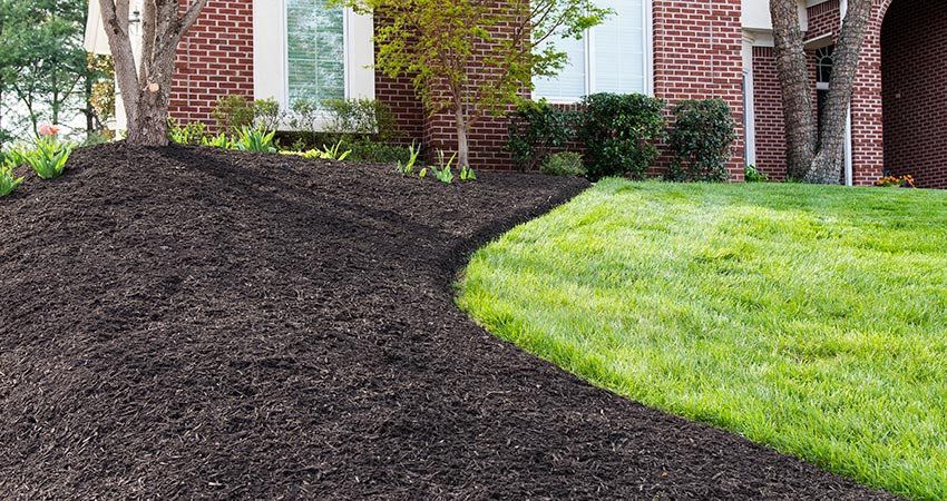 A brick house with a lush green lawn and a pile of mulch in front of it.