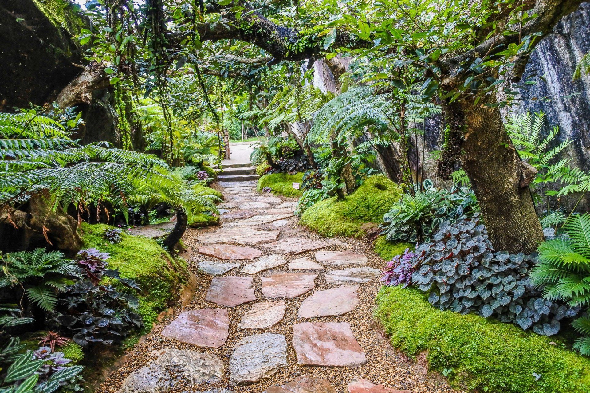 A stone path in the middle of a lush green forest.