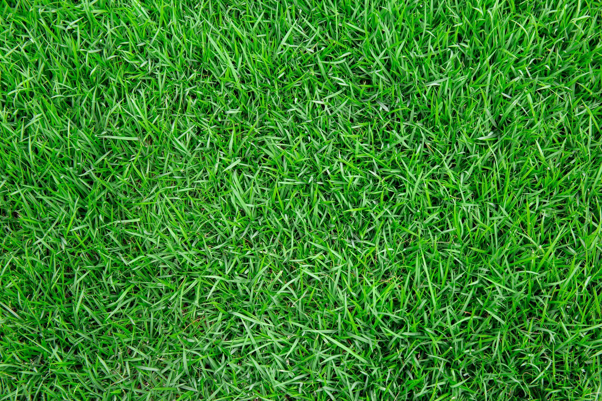 A rake clears thatch from a patch of green grass while a person in brown boots stands nearby on the lawn.