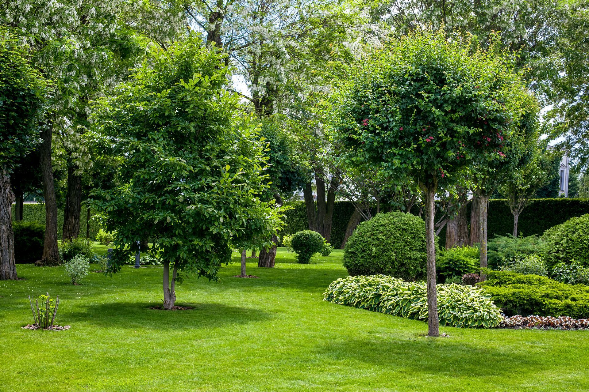 A lush, green garden with mown grass, various trees, and manicured shrubbery under natural daylight.