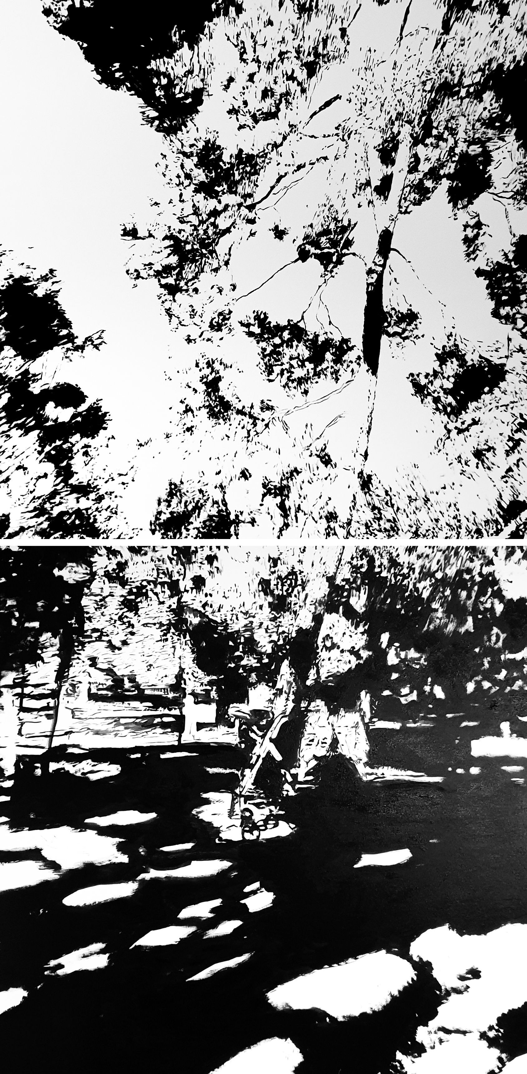 a black and white photo of a park with trees