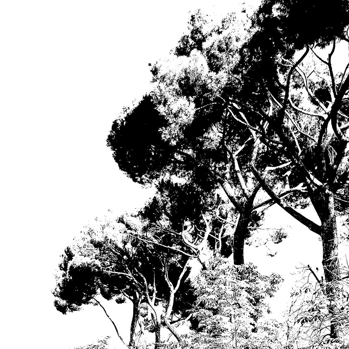 Art by Daniel Garbade