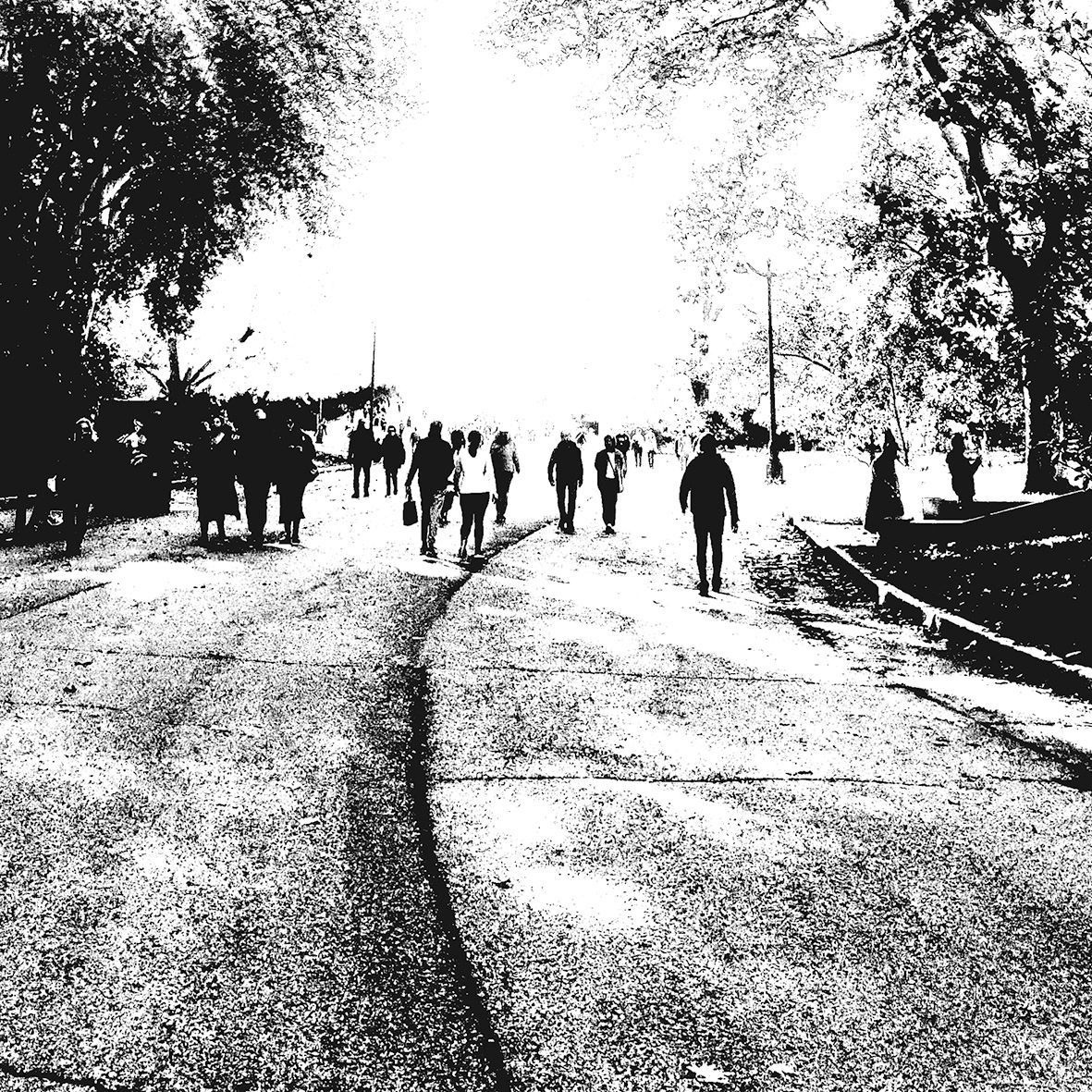 People walking down a tree-lined road in a park, black and white iprint by garbade