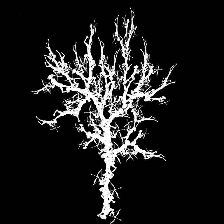 daniel,garbade,swiss,schweiz, kunst, tree, icam, geneve