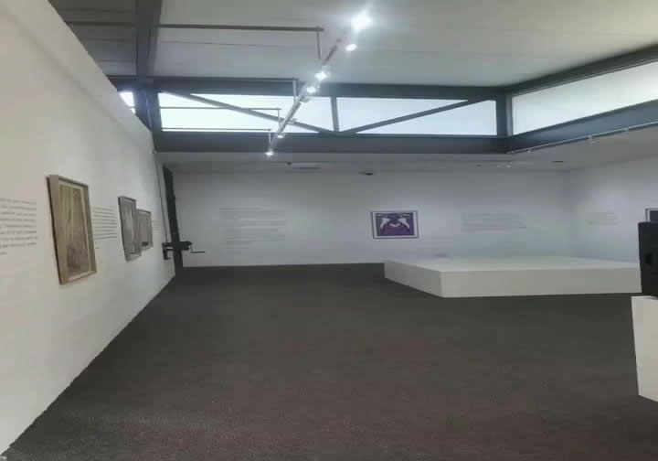 Durban Art Gallery with white walls, paintings, and a small stage. Skylight illuminates the room.