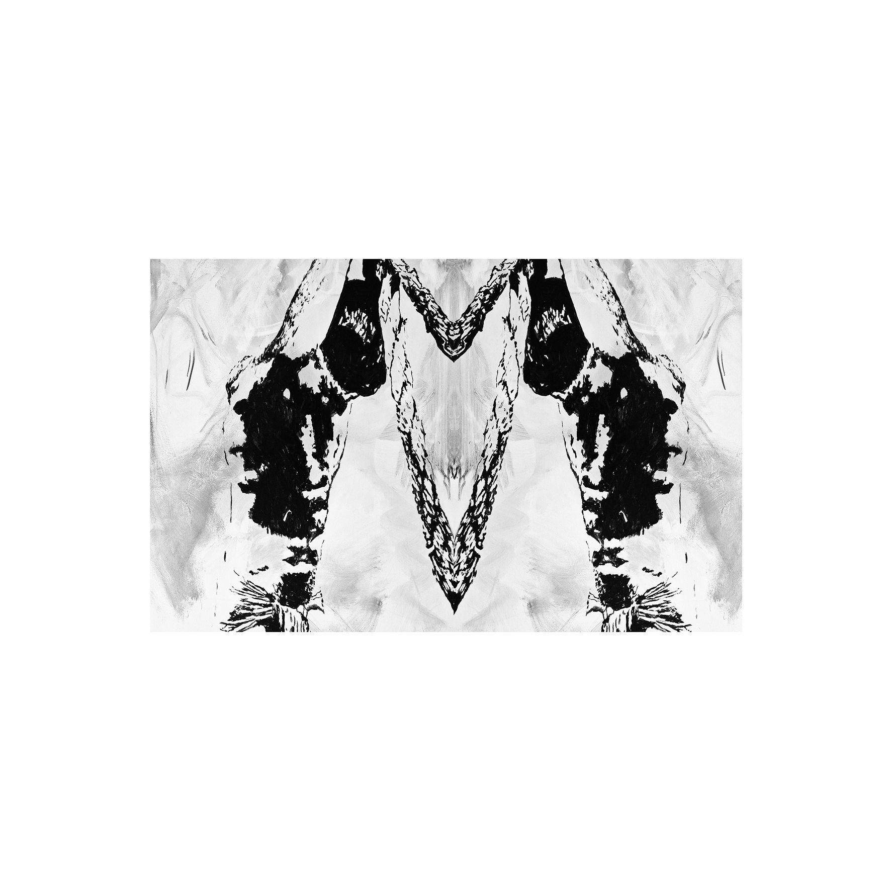 Mancha de tinta abstracta simétrica en blanco y negro que recuerda a una mariposa o a una prueba de Rorschach.