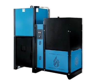 Caminetto a biomassa