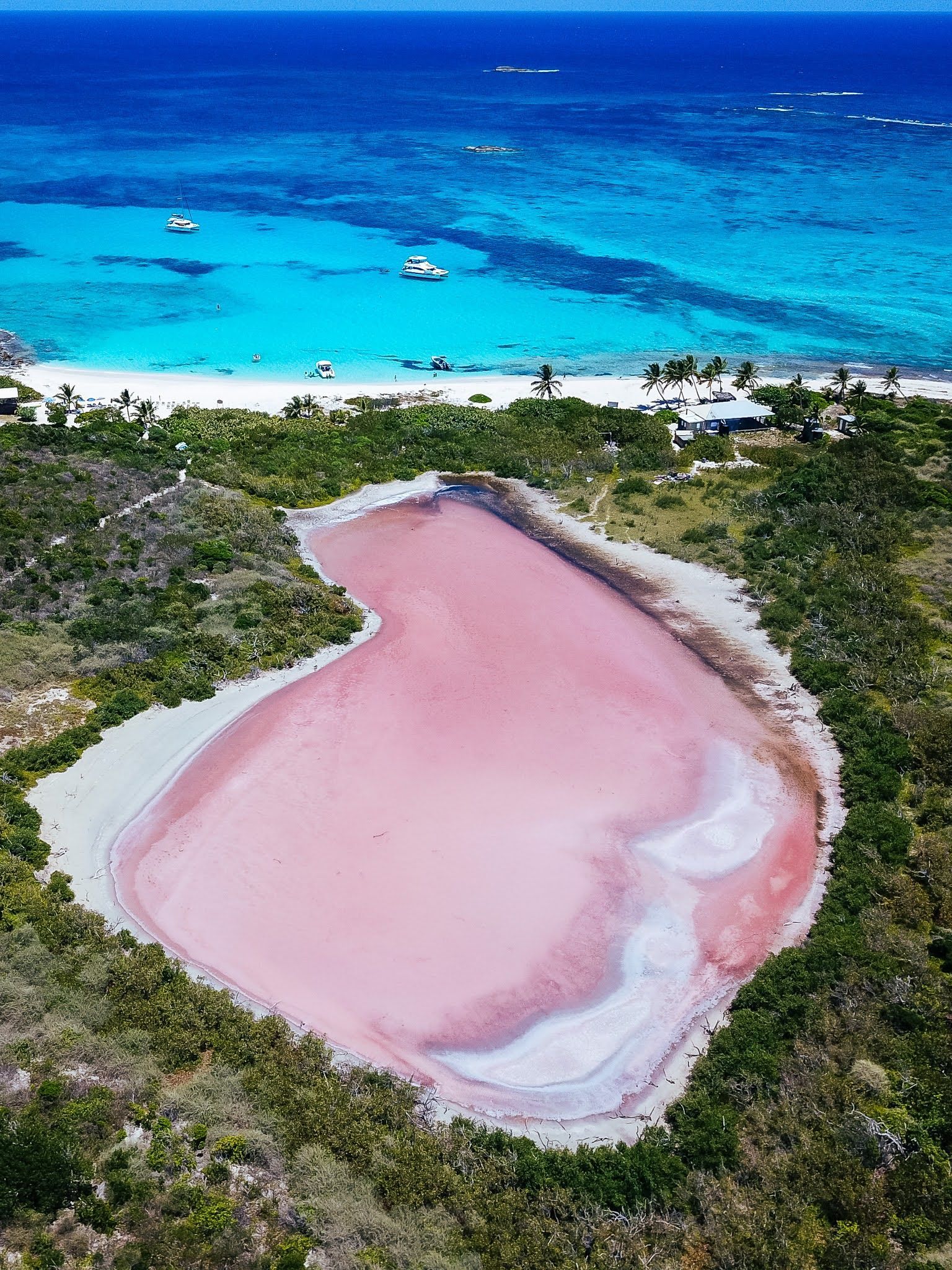 An aerial view of a heart shaped pink lake in the middle of a tropical island.